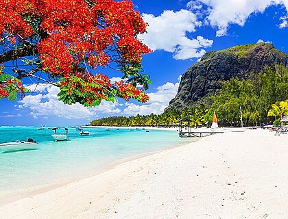 What to wear on safari in South Africa