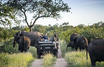 When is the best time to visit South Africa?