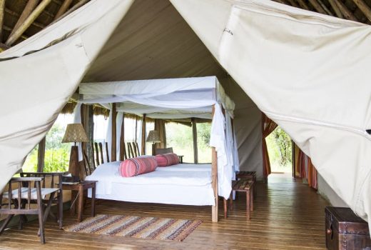 Luxury Tented Room