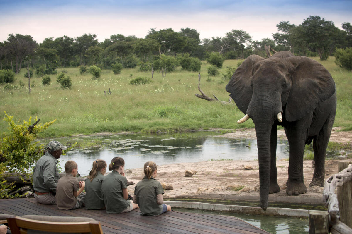 Cedarberg Travel | Somalisa Acacia Camp