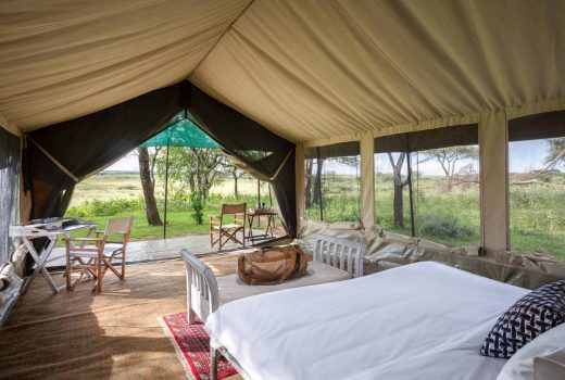 Traditional Safari Tents