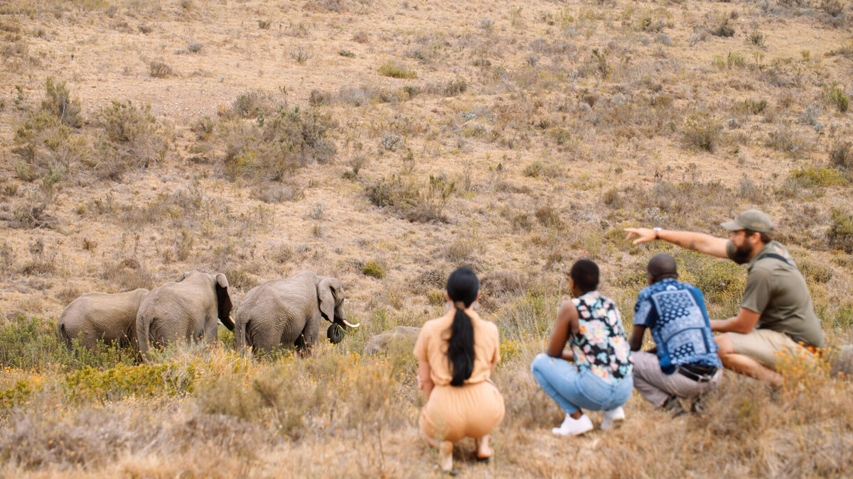 Cedarberg Travel | Botlierskop Private Game Reserve