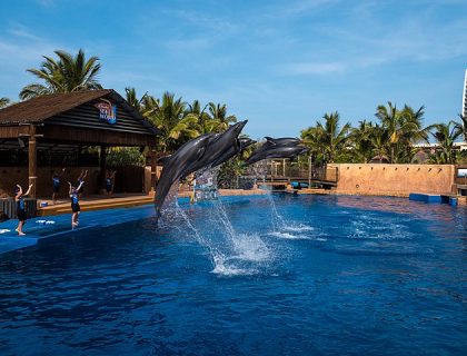 uShaka Marine World - courtesy of Wikimedia multimedia commons - photo by South African Tourism