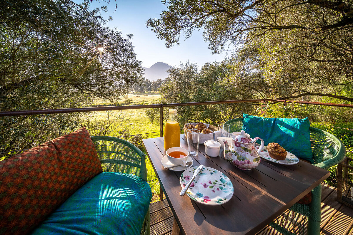 Cedarberg Travel | Bartholomeus Klip Farmhouse