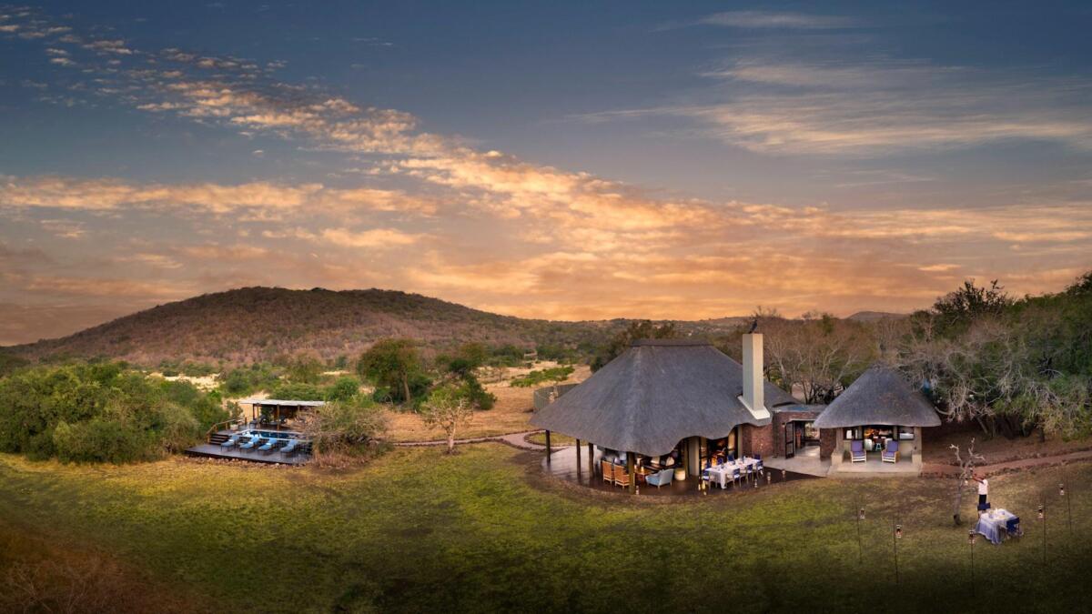 Cedarberg Travel | andBeyond Phinda Zuka Lodge