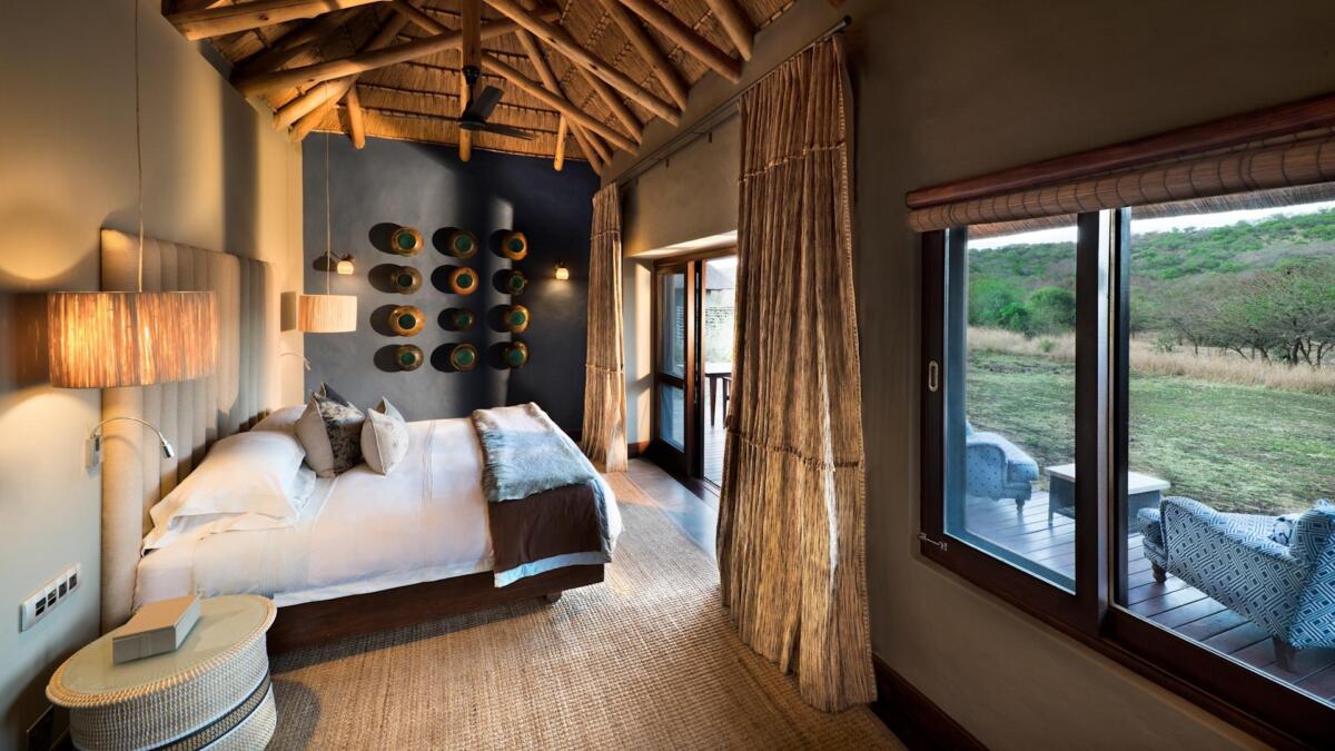 Cedarberg Travel | andBeyond Phinda Zuka Lodge