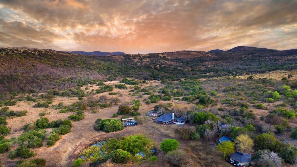 Cedarberg Travel | andBeyond Phinda Zuka Lodge