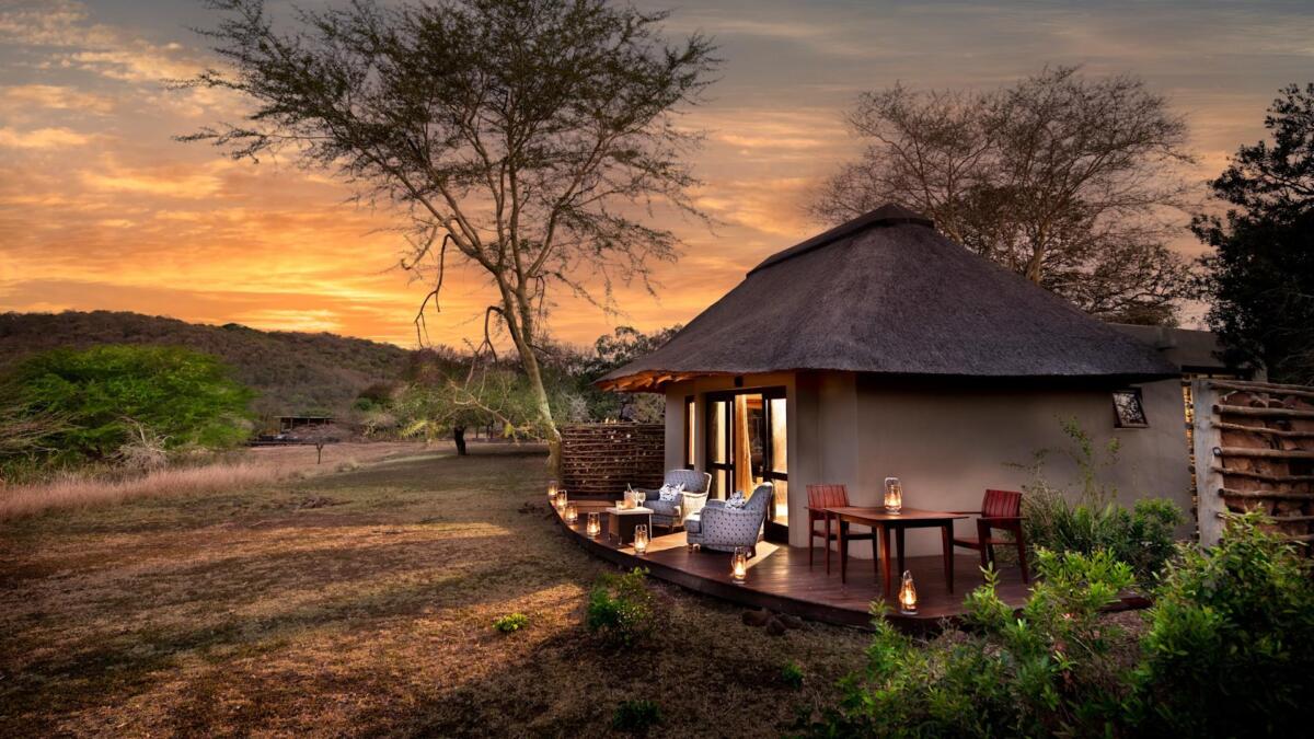 Cedarberg Travel | andBeyond Phinda Zuka Lodge