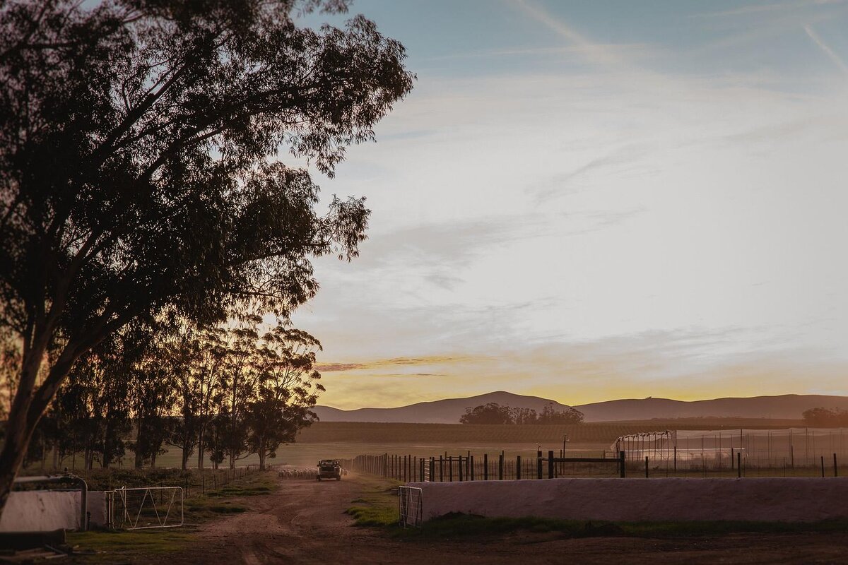 Cedarberg Travel | Bartholomeus Klip Farmhouse