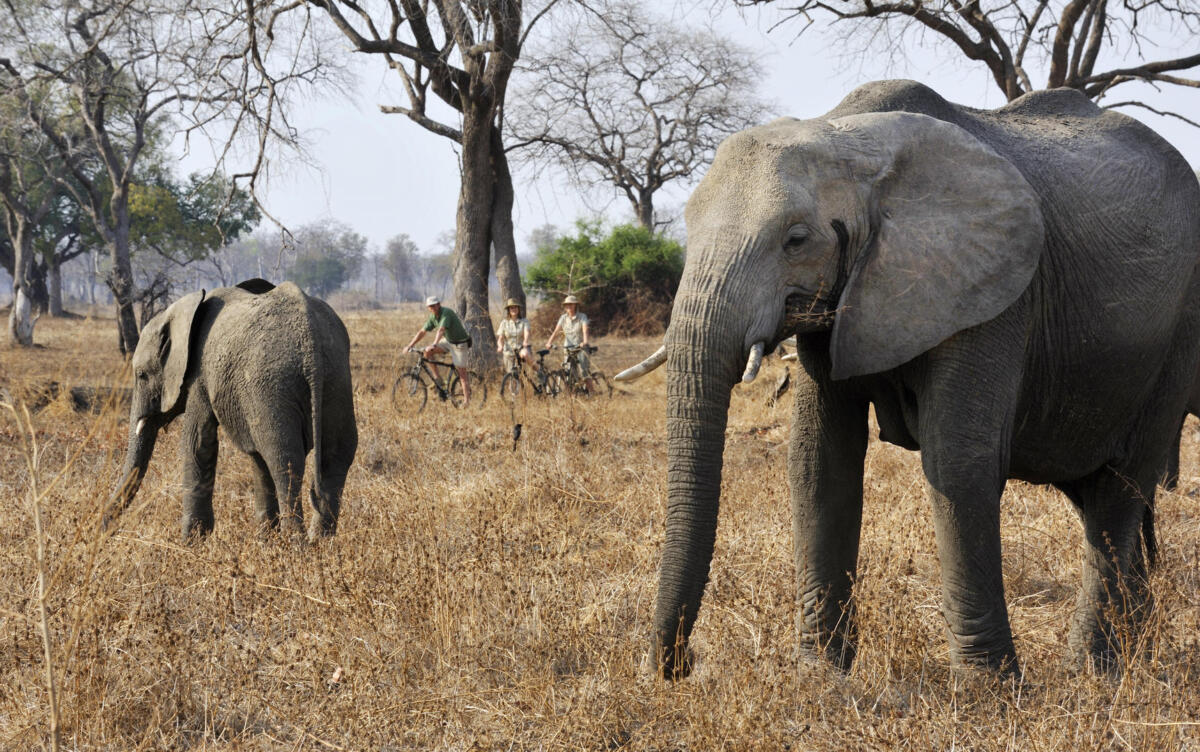 Cedarberg Travel | Tafika Camp