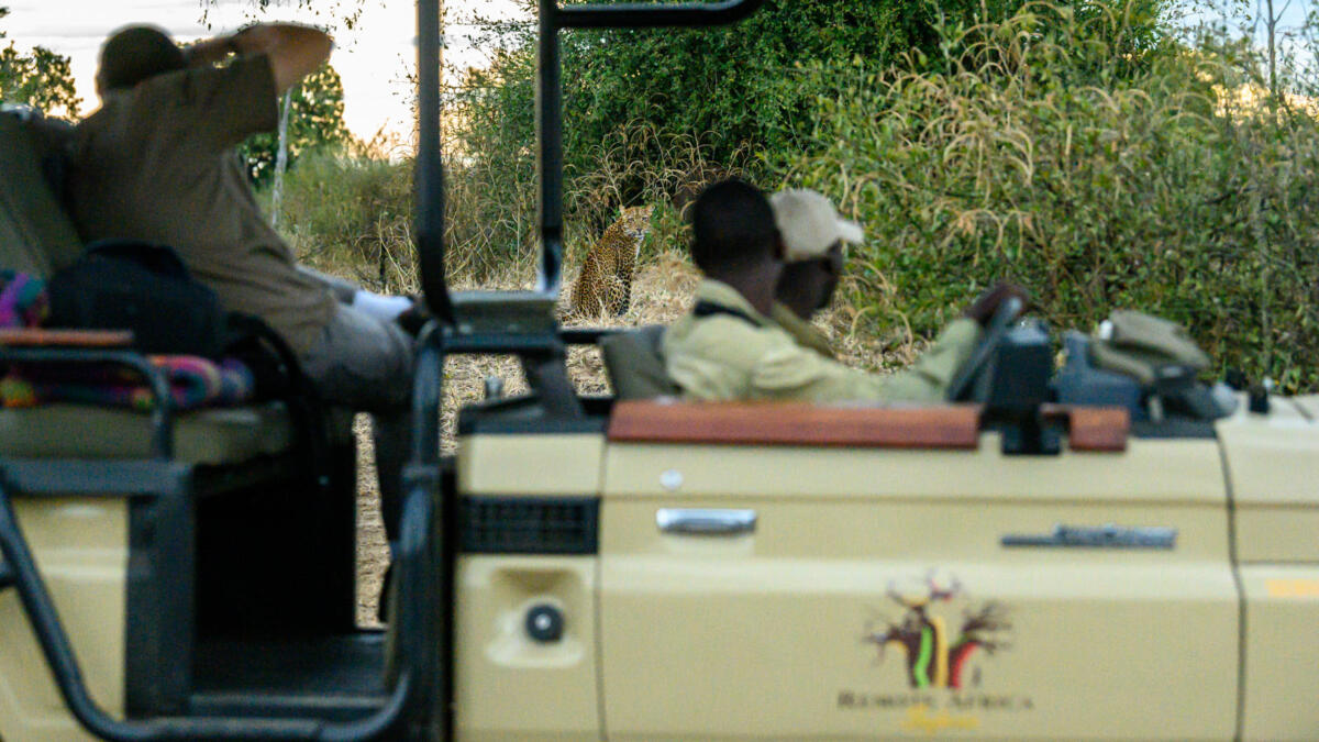 Cedarberg Travel | Tafika Camp