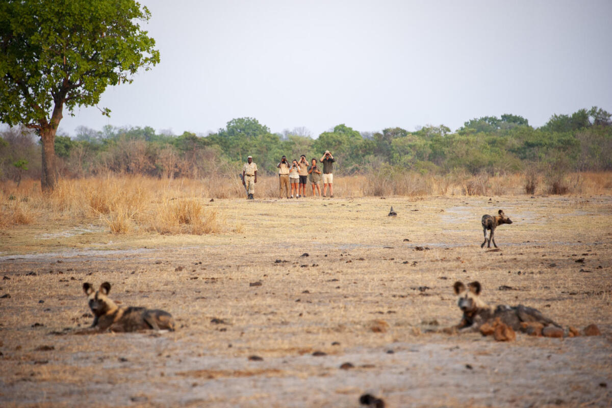 Cedarberg Travel | Tafika Camp