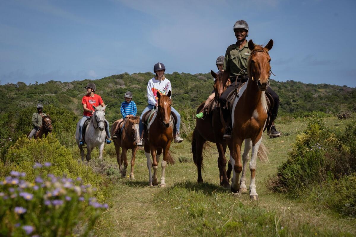 Cedarberg Travel | Oyster Bay Lodge