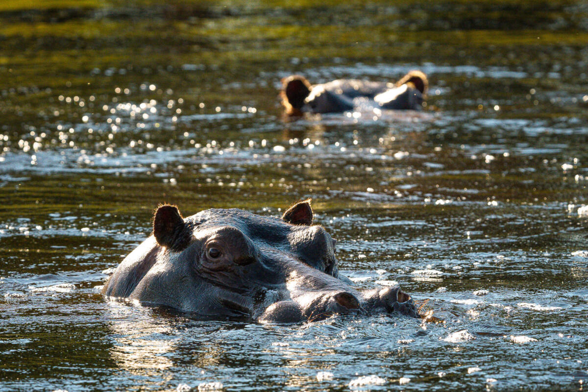 Cedarberg Travel | Kanana camp