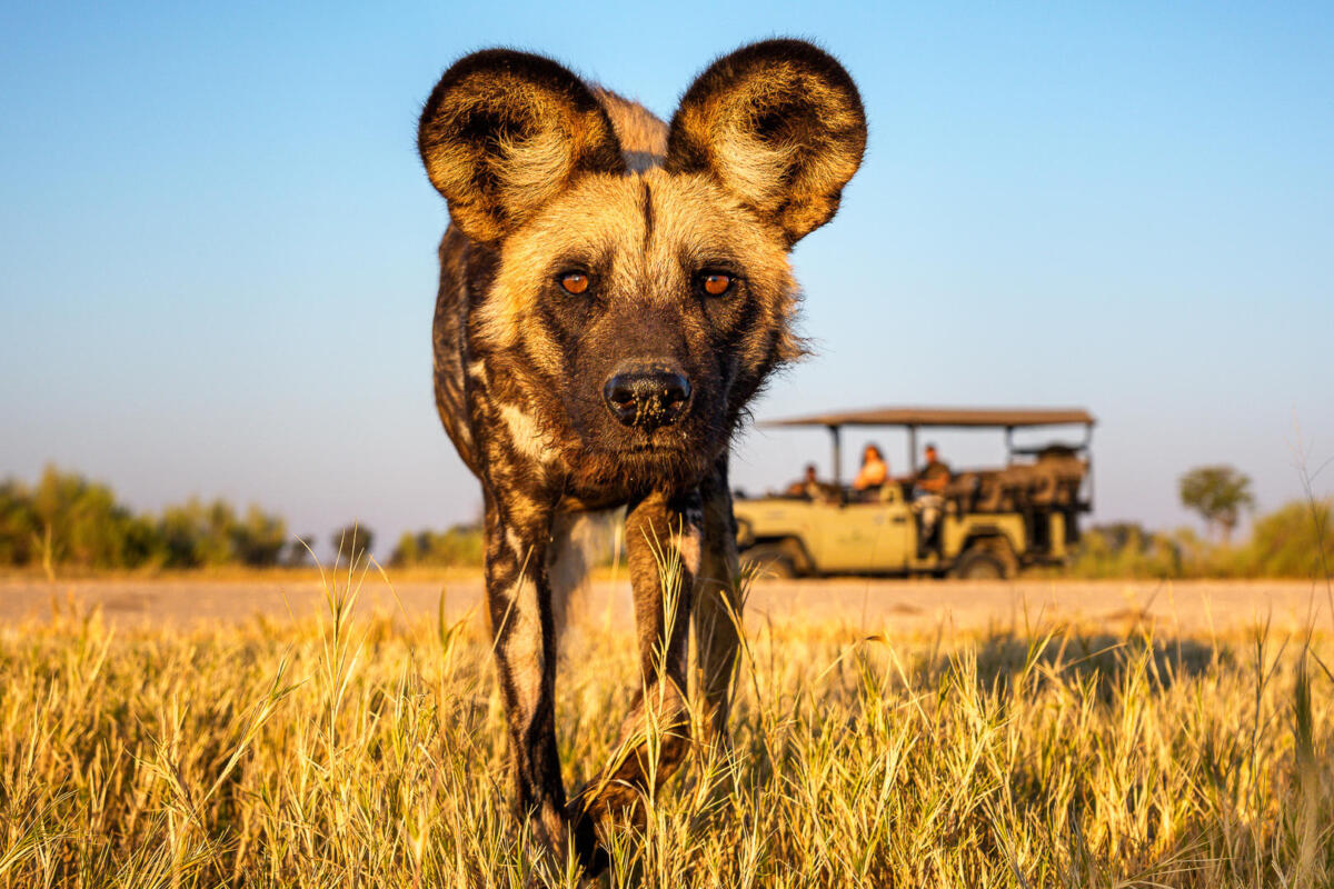 Cedarberg Travel | Kanana camp