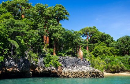 Masoala Rainforest & Anjajavy Reserve Safari