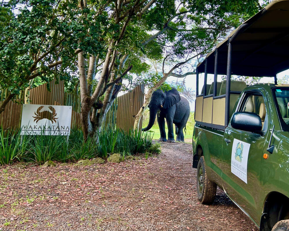 Cedarberg Travel | Makakatana Bay Lodge