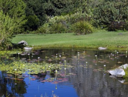 Harold Porter Botanical Gardens