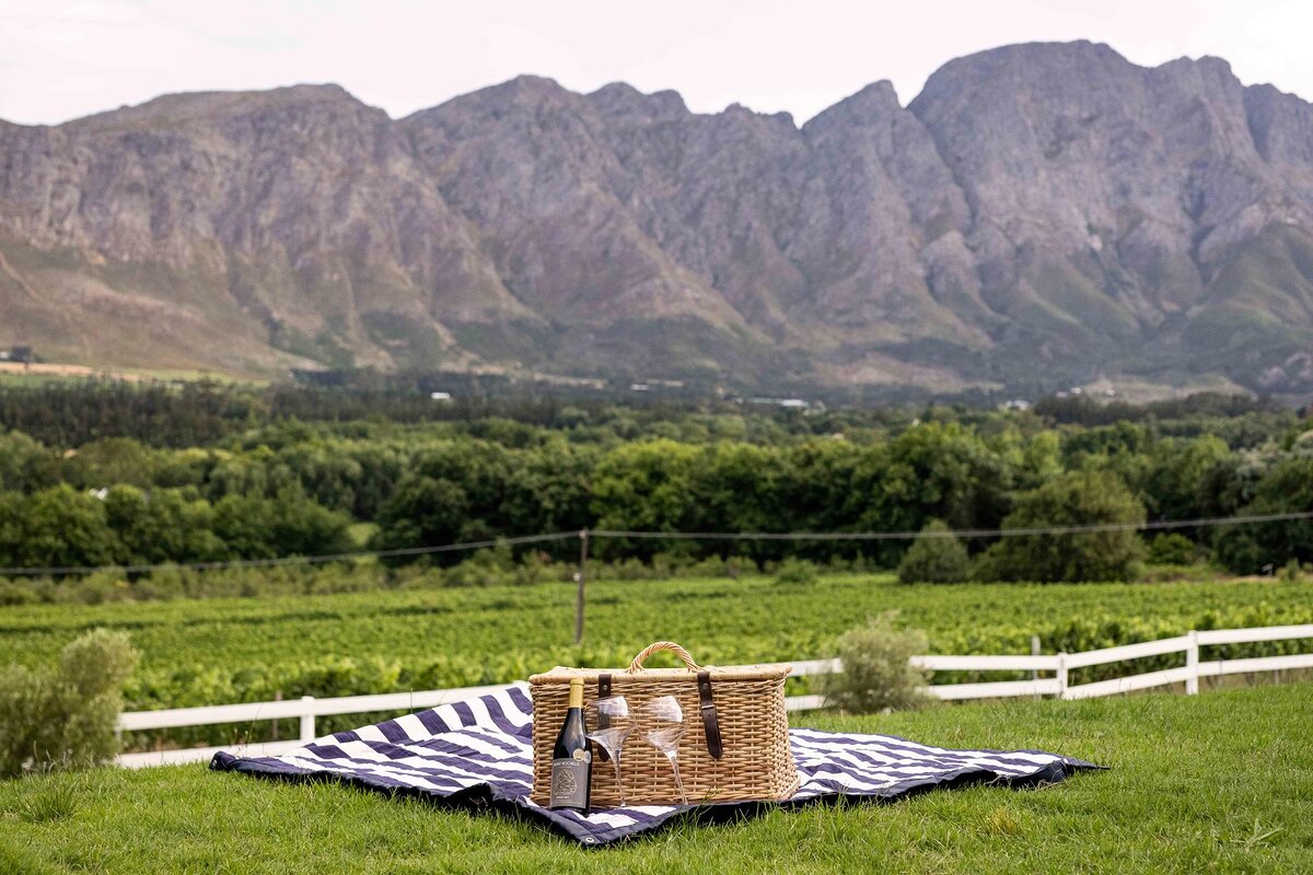 Cedarberg Travel | Mont Rochelle Hotel