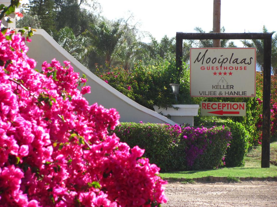 Cedarberg Travel | Mooiplaas Guest House