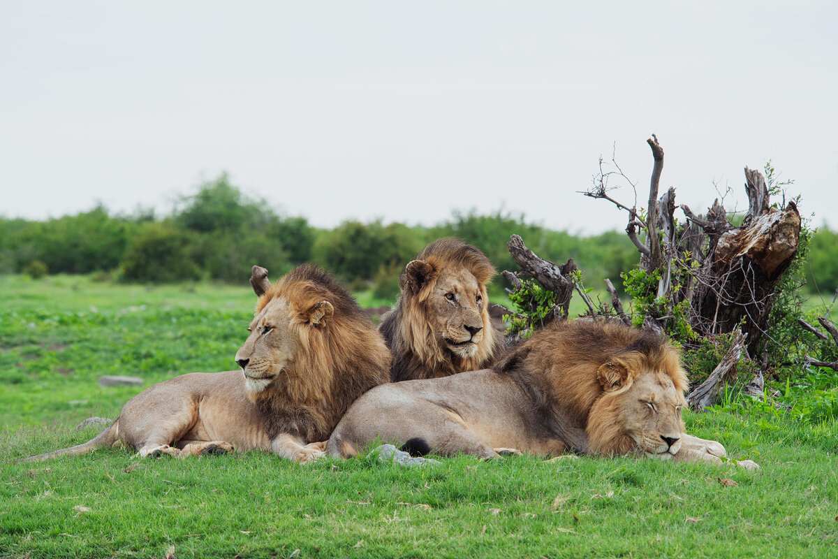 Cedarberg Travel | Jaci's Private Lodge