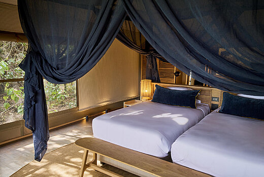 Luxury Tent 