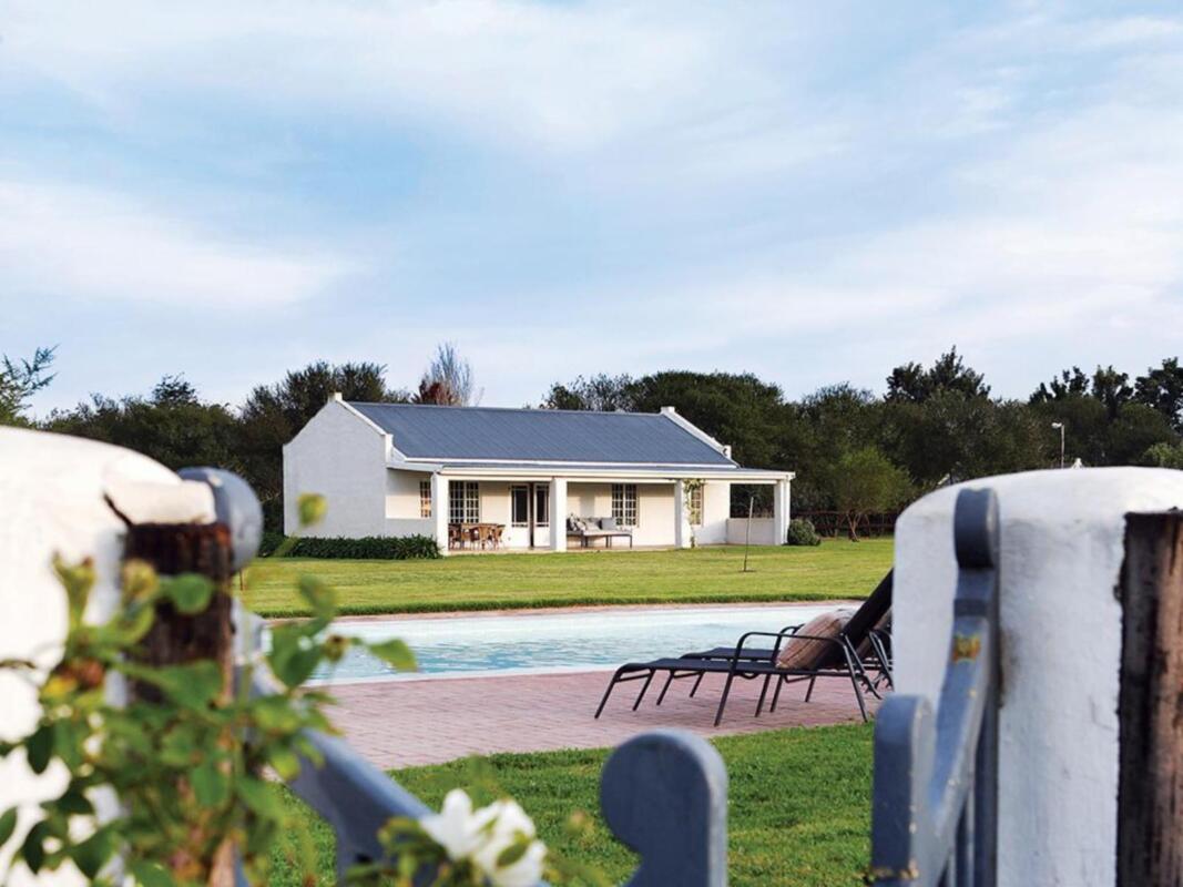 Cedarberg Travel | Elephant House