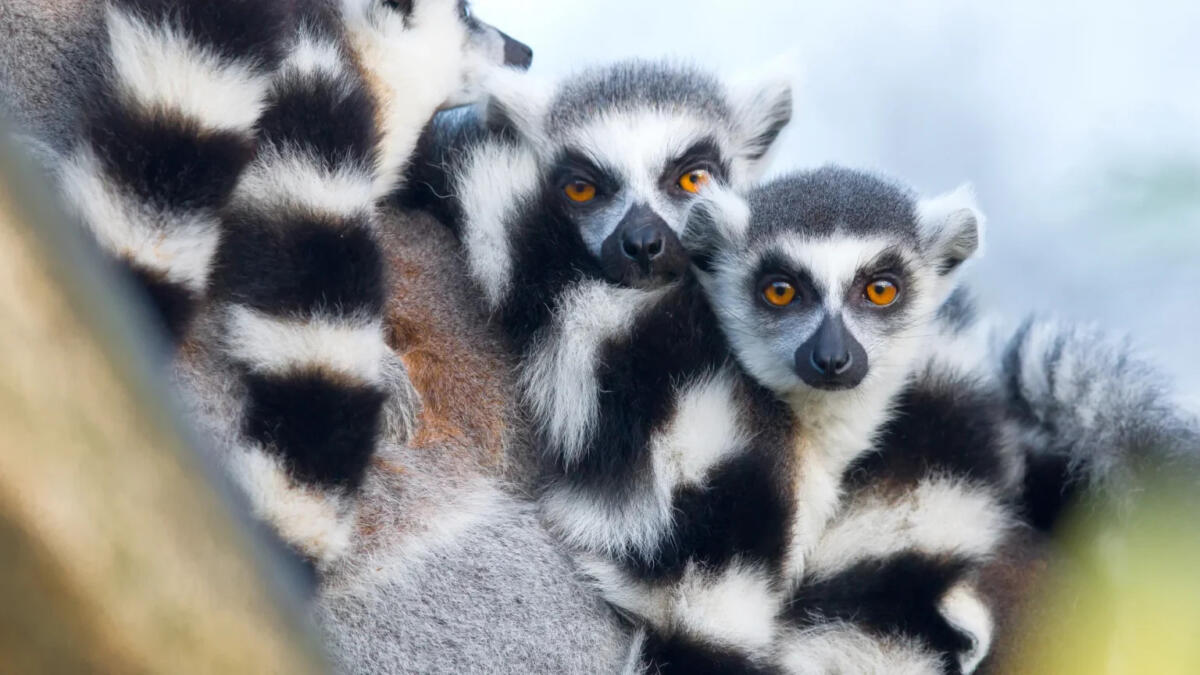 Cedarberg Travel | Palissandre Hotel & Spa