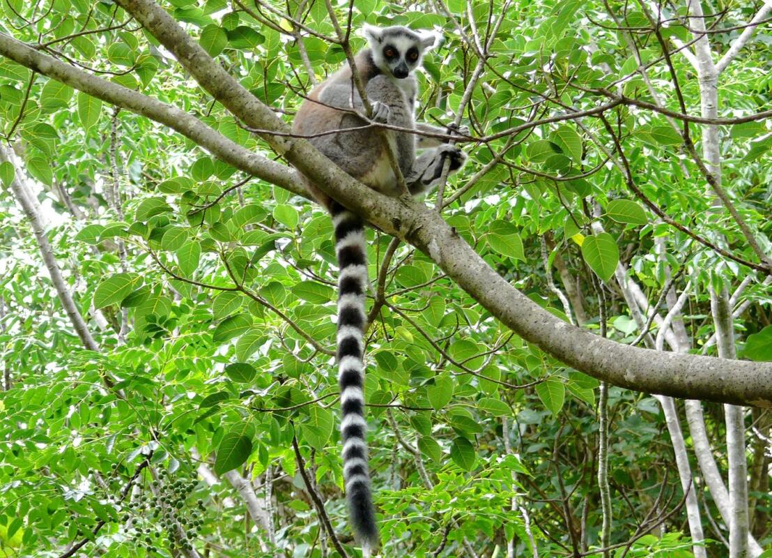 Cedarberg Travel | Relais de la Reine