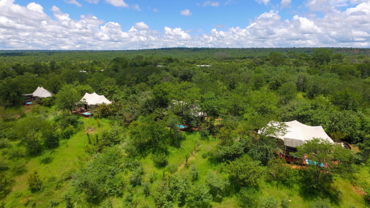 Cedarberg Travel | The Elephant Camp