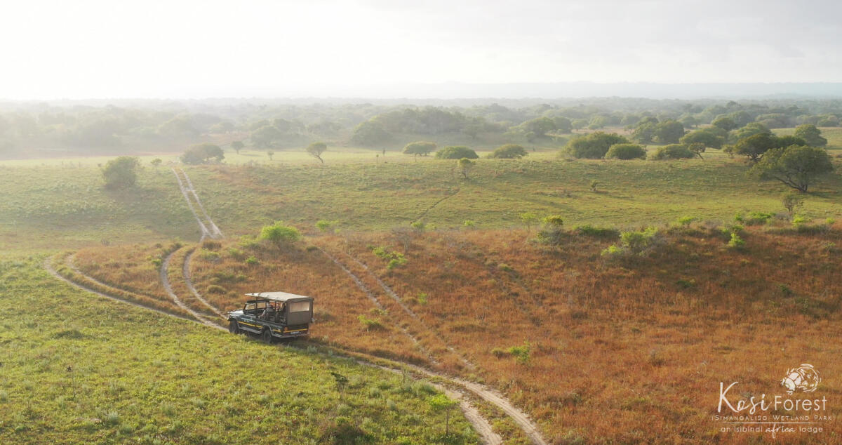 Cedarberg Travel | Kosi Forest Lodge