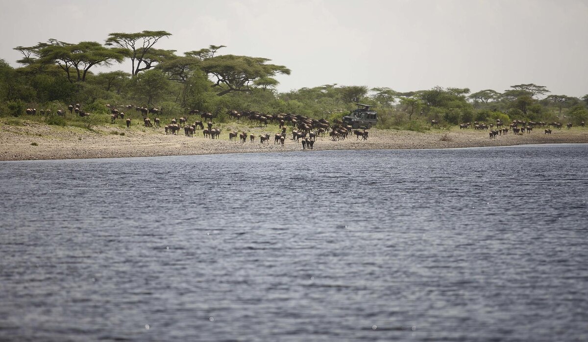 Cedarberg Travel | andBeyond Serengeti Under Canvas