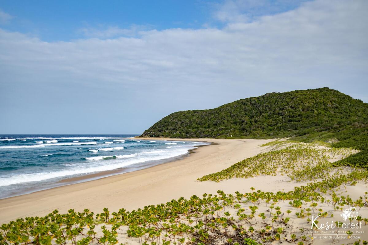 Cedarberg Travel | Kosi Forest Lodge