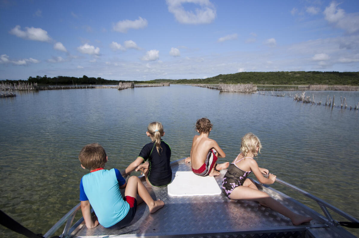 Cedarberg Travel | Kosi Forest Lodge