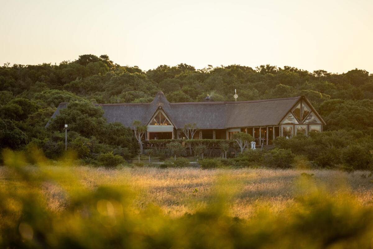 Cedarberg Travel | Amakhala Bush Lodge