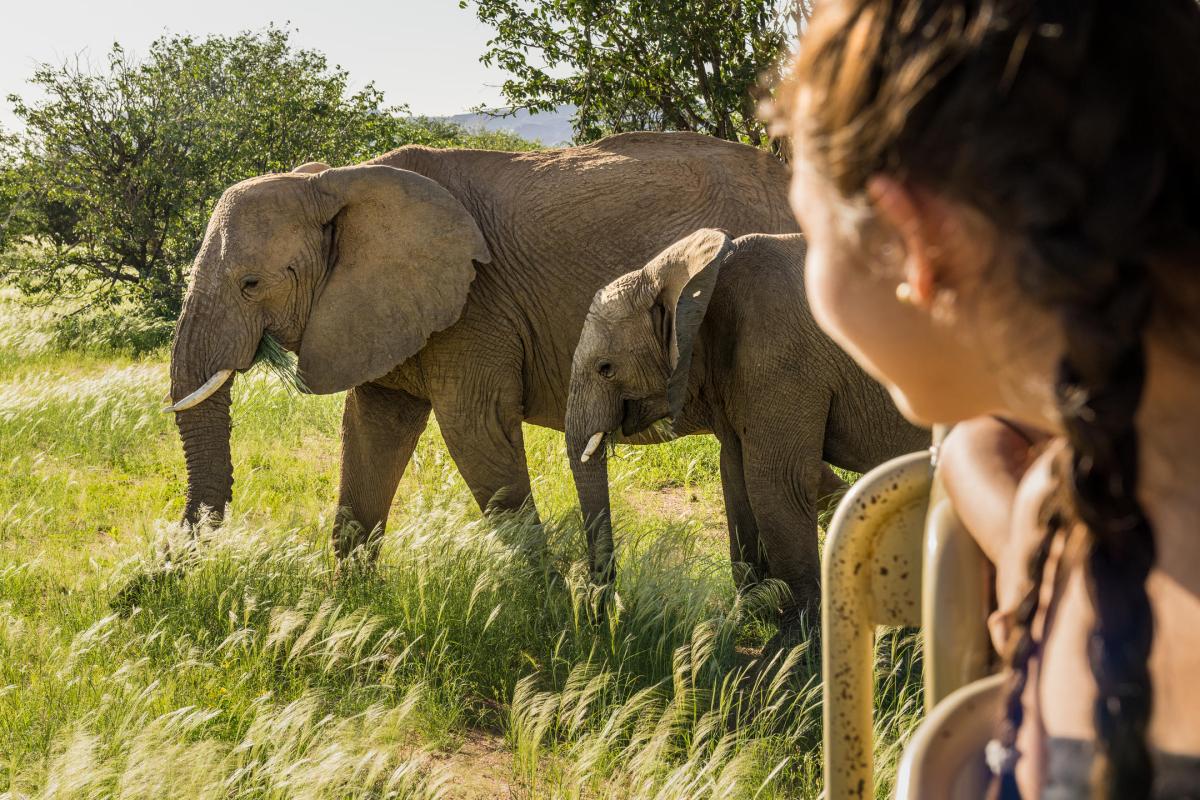 Cedarberg Travel | Camp Kipwe