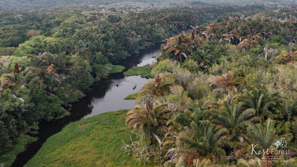 Cedarberg Travel | Kosi Forest Lodge