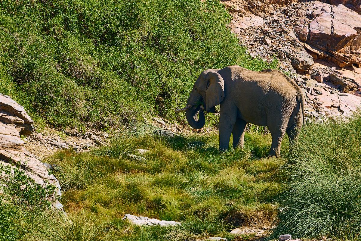 Cedarberg Travel | Huab Lodge