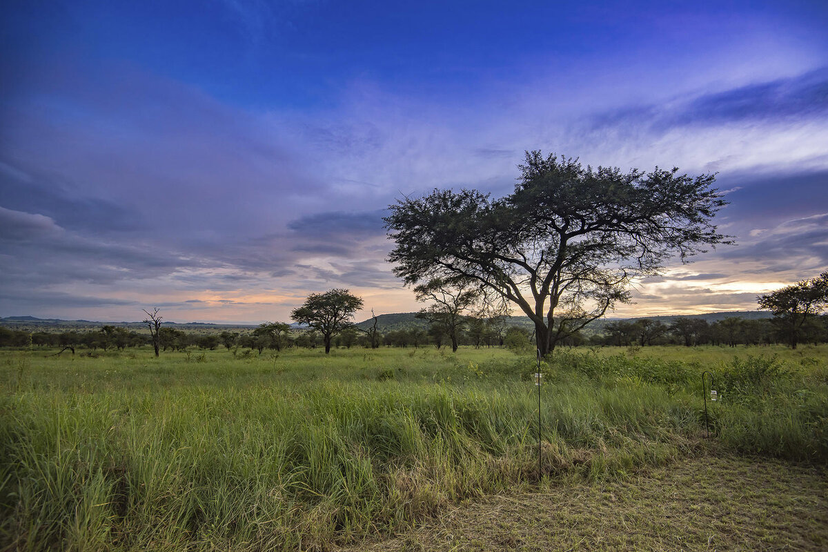 Cedarberg Travel | Dunia Camp