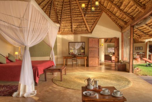 Elsa's Private House