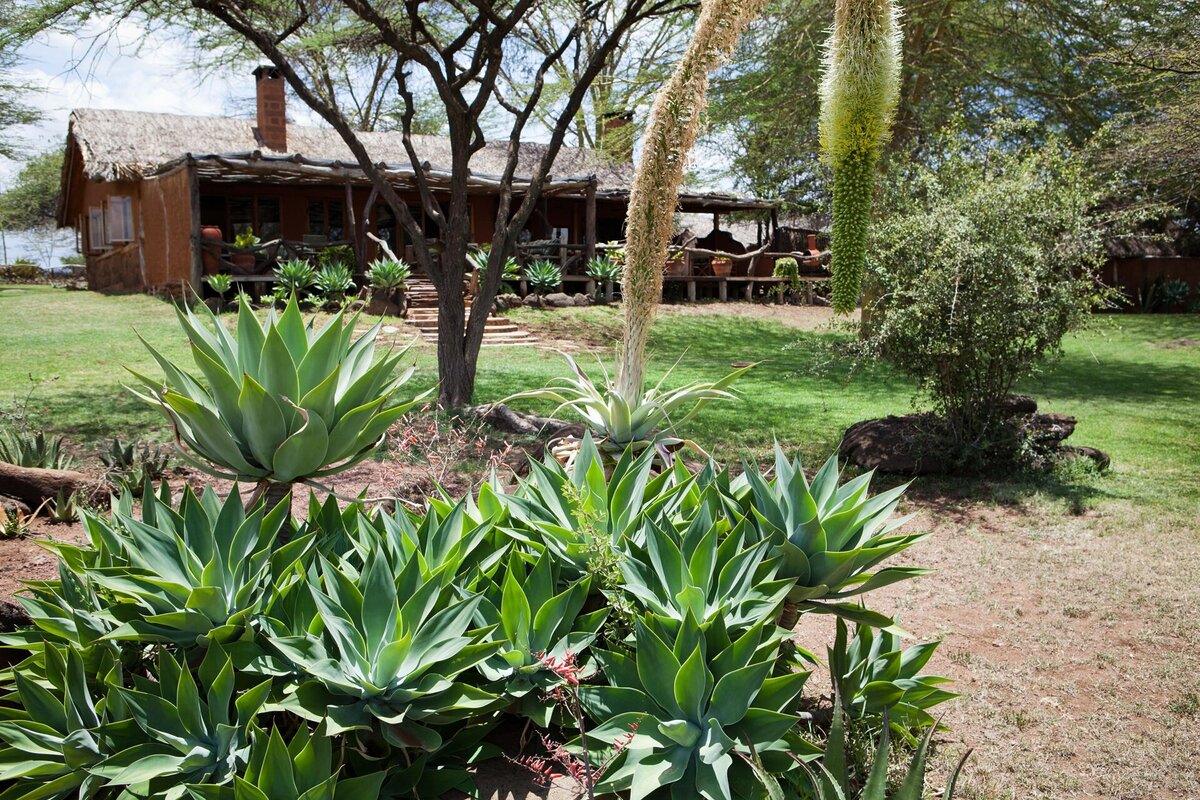 Cedarberg Travel | Elewana Lewa Safari Camp