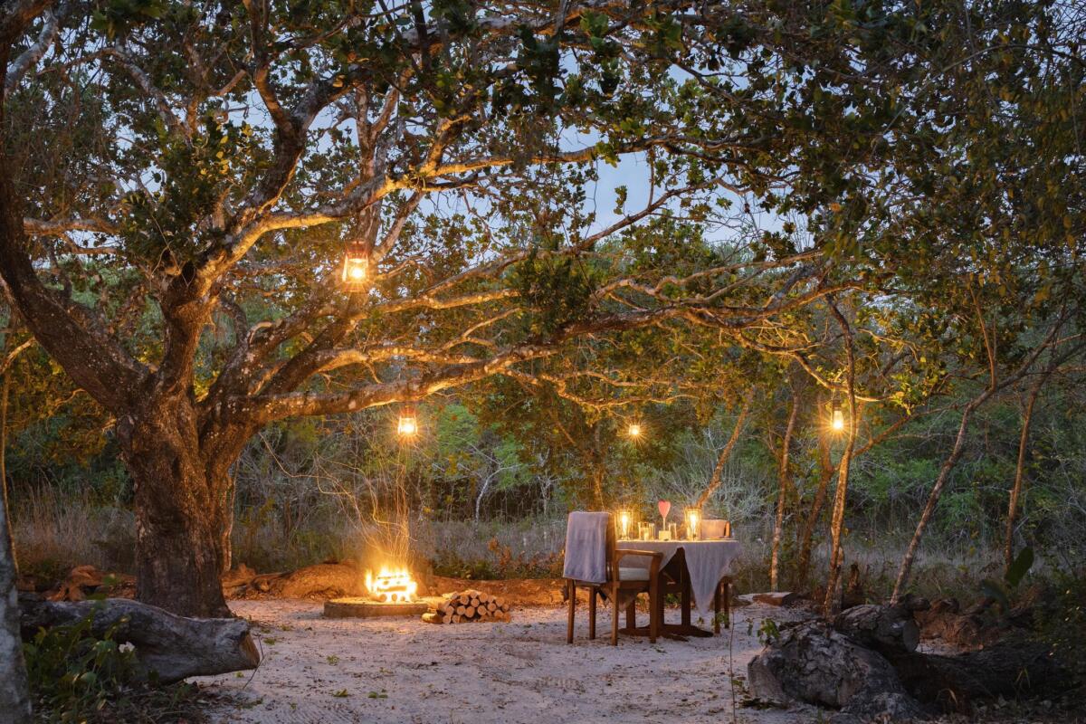 Cedarberg Travel | Kosi Forest Lodge