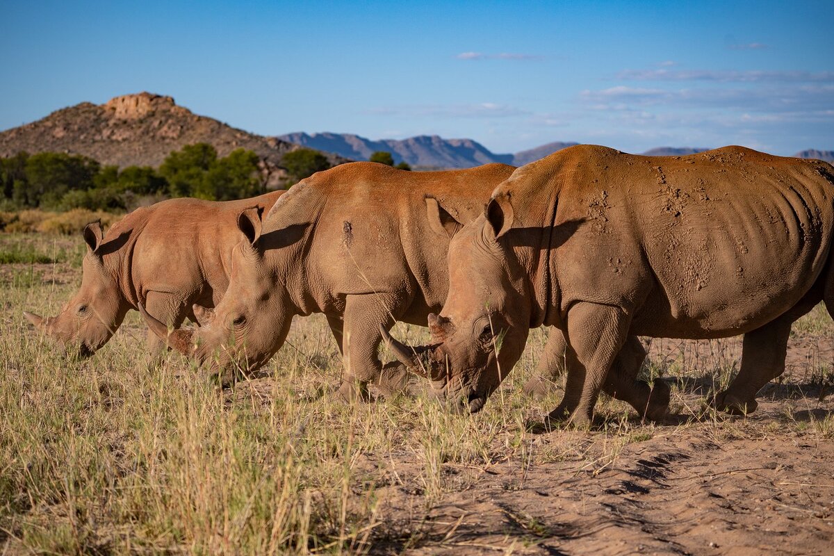 Cedarberg Travel | Gocheganas Nature Reserve & Spa