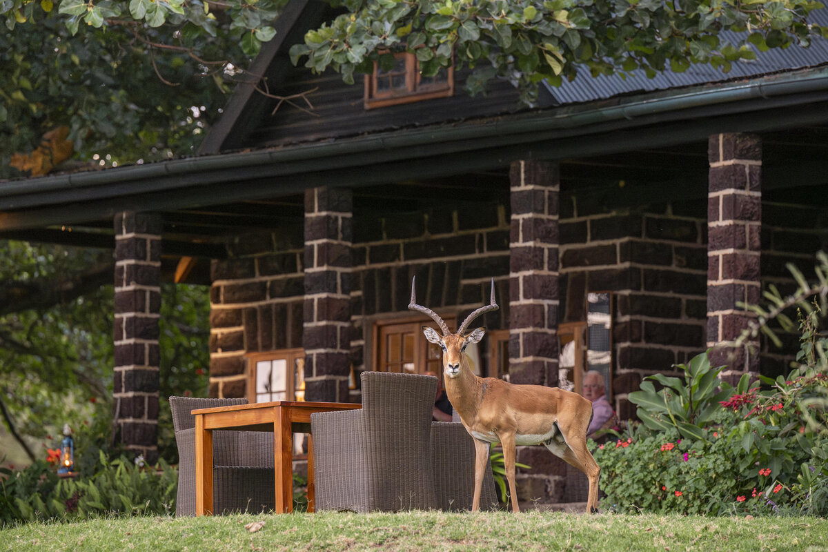 Cedarberg Travel | Loldia House