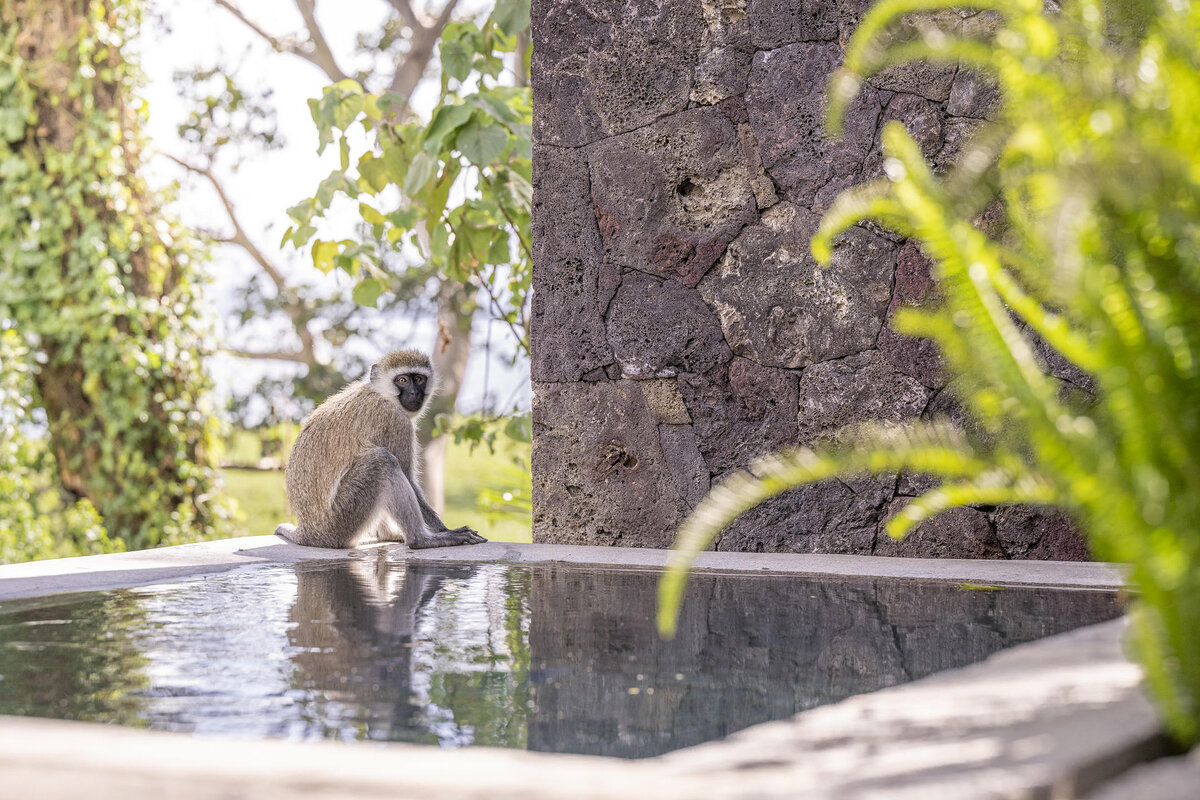 Cedarberg Travel | Loldia House