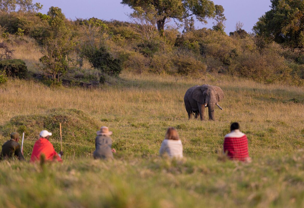 Cedarberg Travel | Kicheche Mara Camp