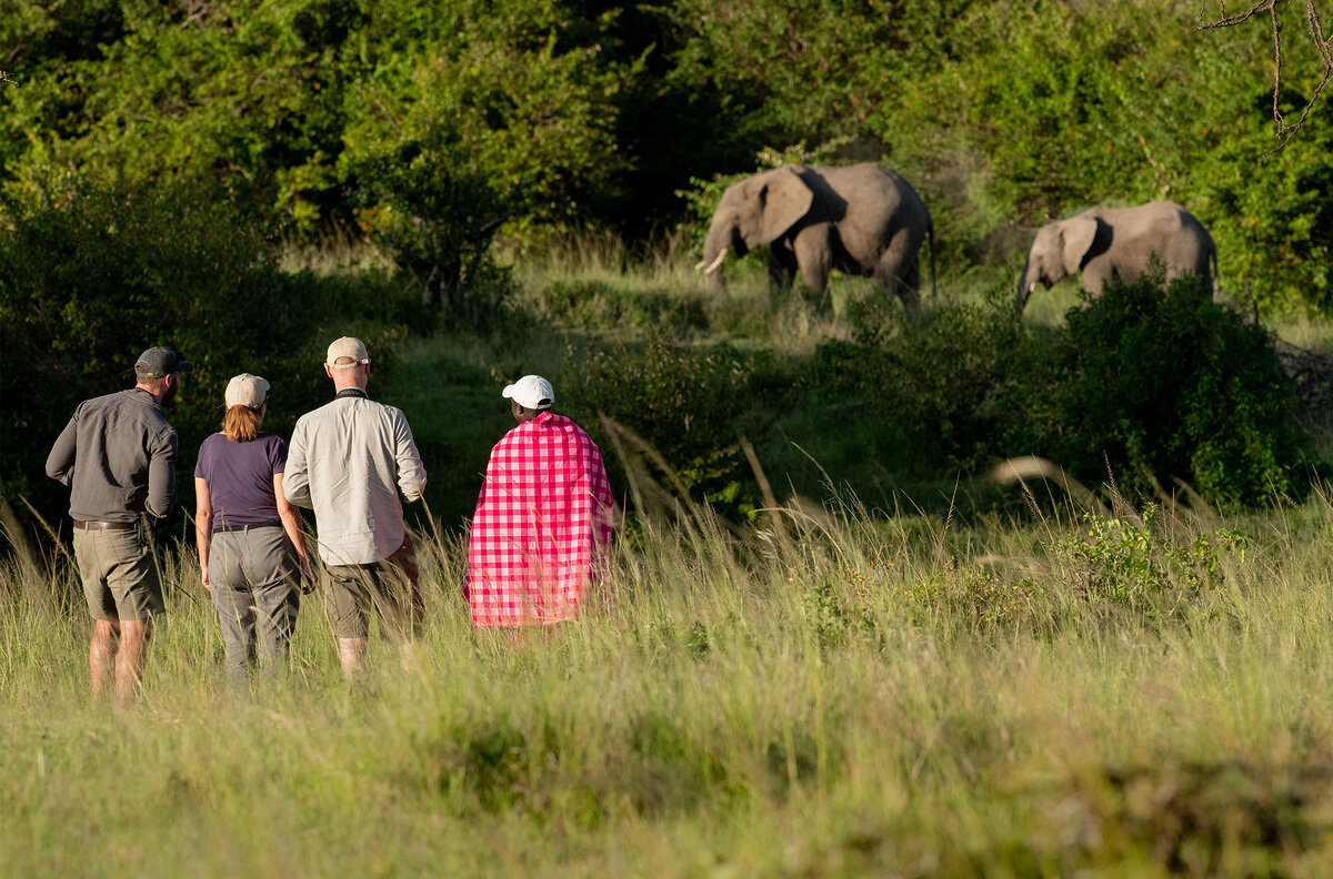 Cedarberg Travel | Kicheche Valley