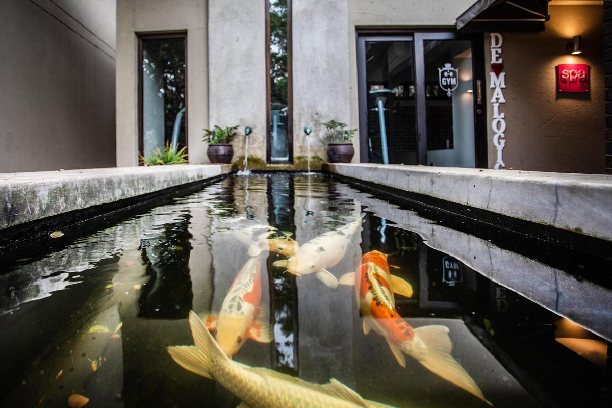 Cedarberg Travel | Teremok Lodge