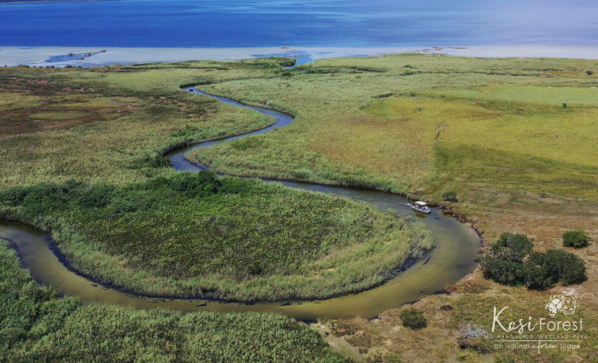 Cedarberg Travel | Kosi Forest Lodge