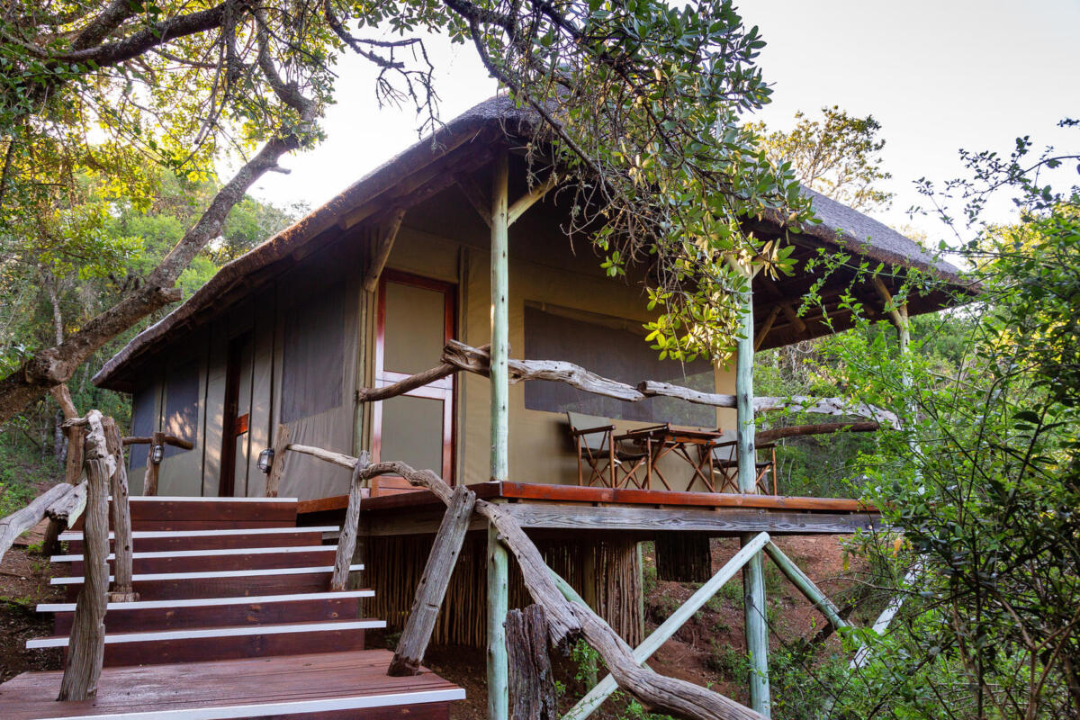 Cedarberg Travel | Lalibela Tree Tops Tented Camp